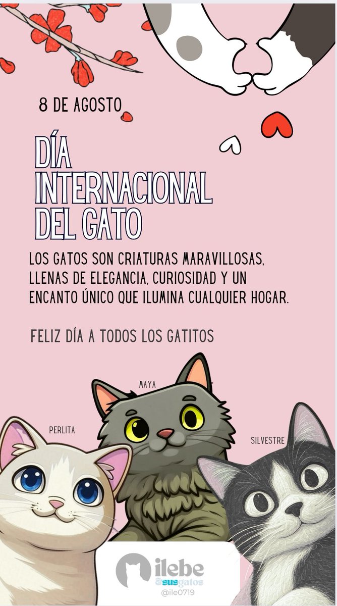 Feliz día a todos los gatitos de esta red social y del mundo. Los queremos mucho.....Qué un día todos los gatitos tengan un hogar seguro y amoroso 🙏🏻✨

....de casualidad reconocen a los gatitos de esta imagen?