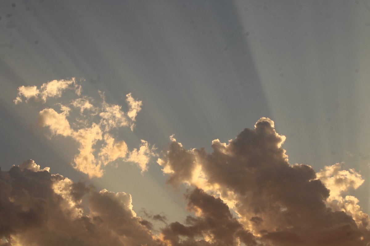 cowtown mo sports 🇬🇾 tweet media