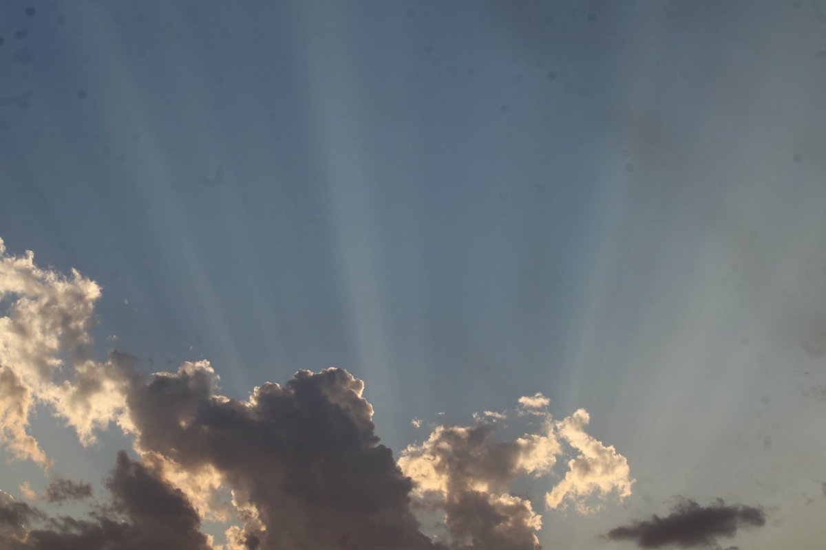 cowtown mo sports 🇬🇾 tweet media