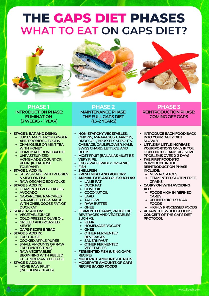 shauchalife.com
Understanding the GAPS Introduction Diet and How It Can Help
For more information go to shauchalife.com

The GAPS Introduction Diet is a therapeutic eating plan designed to help heal and seal the gut lining.
Go to my website for a consultation