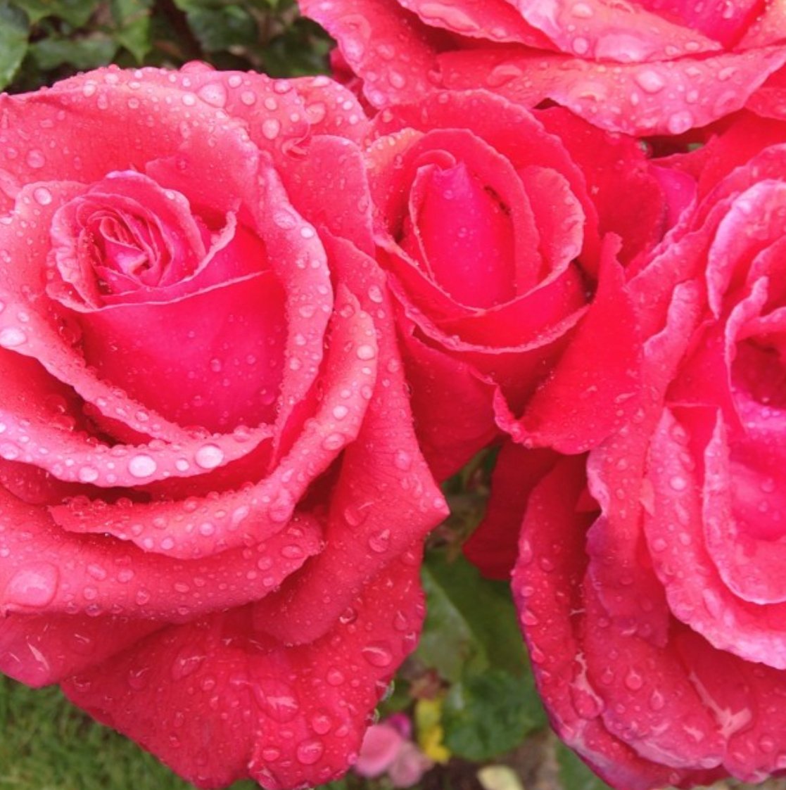 eatsleepslayrepeat tweet media