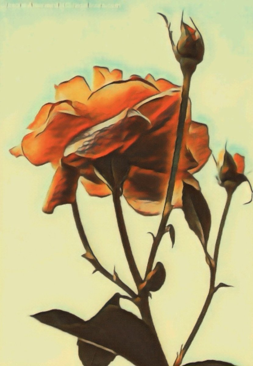 Giovanna Joanne Arseneault tweet media