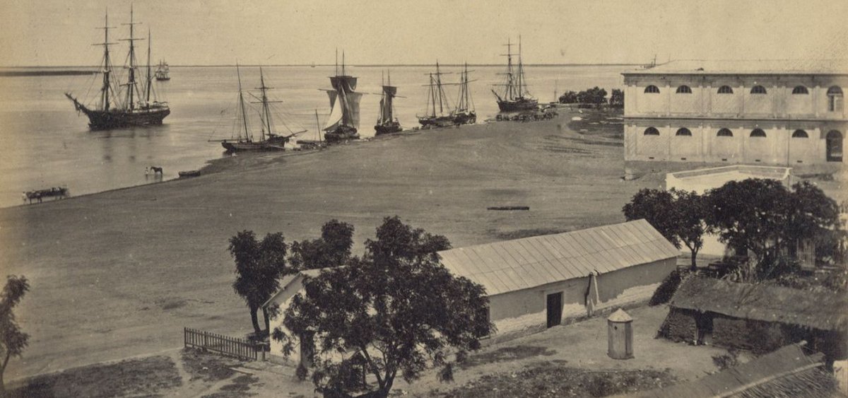 Los inicios de Rosario como ciudad, en momentos convulsionados.

En “Un Programa Perfecto” dialogamos con Alicia Megías quien brindó el contexto de este hito histórico.

👉📢 lc.cx/zTBLKP