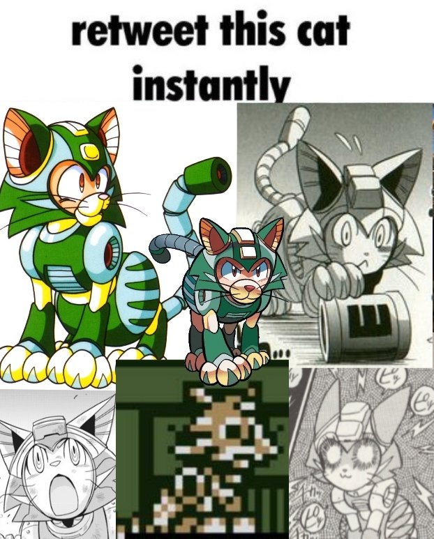 #HappyInternationalCatDay! 😸🐾