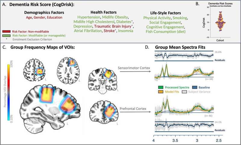 LEAD_Coalition's tweet image. Your lifestyle could be affecting your brain’s ‘brake system’ and putting you at a higher risk of dementia  usc.edu.au/about/unisc-ne… via @usceduau