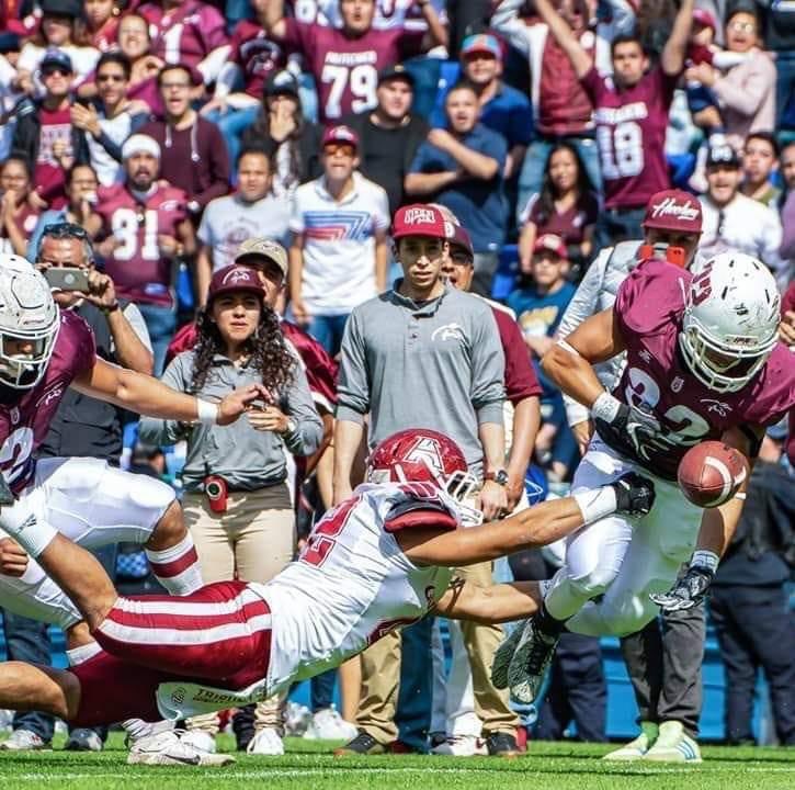 Mundo del Ovoide tweet media