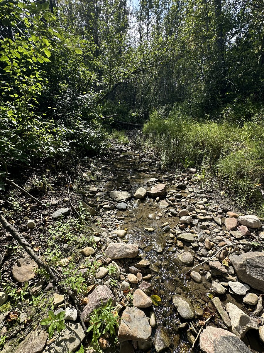 Shaaquilla's tweet image. Thiiiisss is in my backyard, like are you kidding me? 🤍