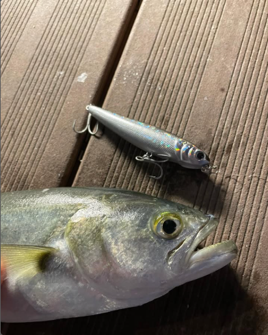 Lamb bleating tweet media