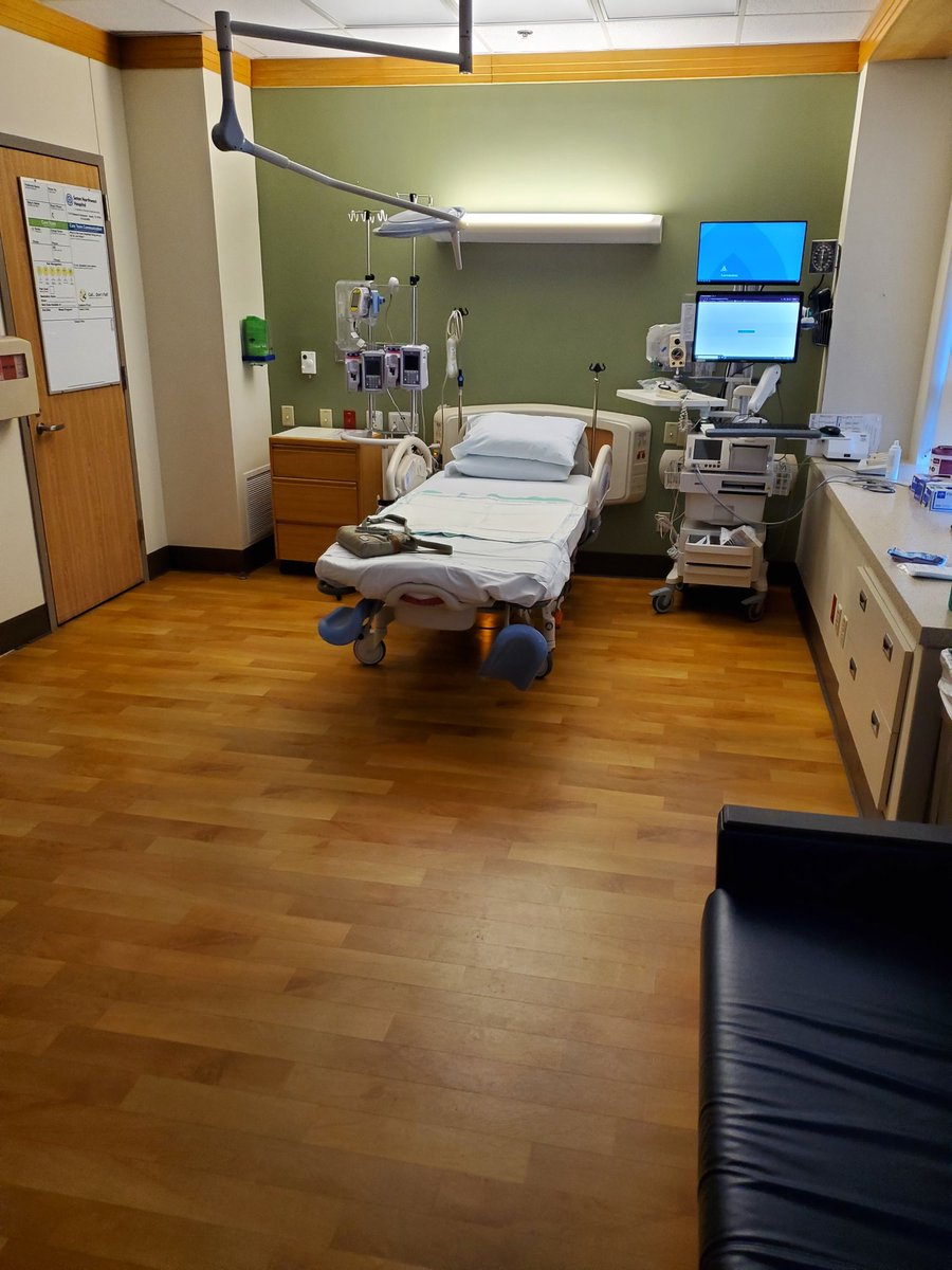 🟡Noah N Copeland🟡made Sonic Triple Trouble 16bit tweet media