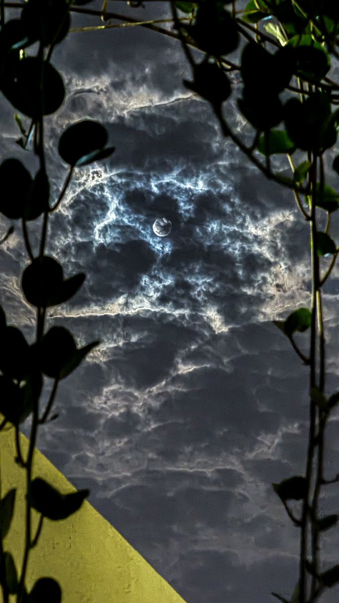 تَعال نسامر الليل على نور القمَر
وإن غابت القمَرا نسُهر على نورك .