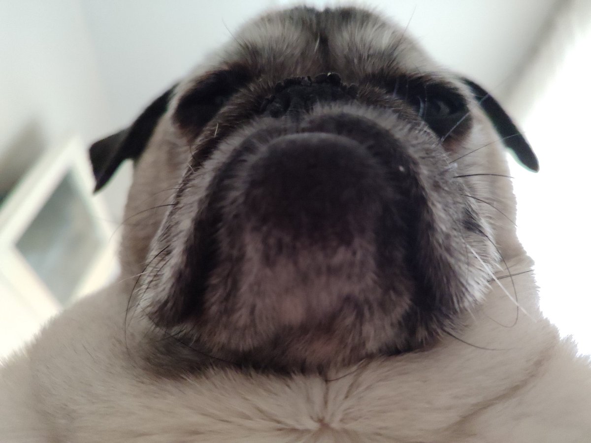 <a href="/Pisisavar/">Ulu Kamgal Bado</a> keçimürenin bana iftiyaçı var!