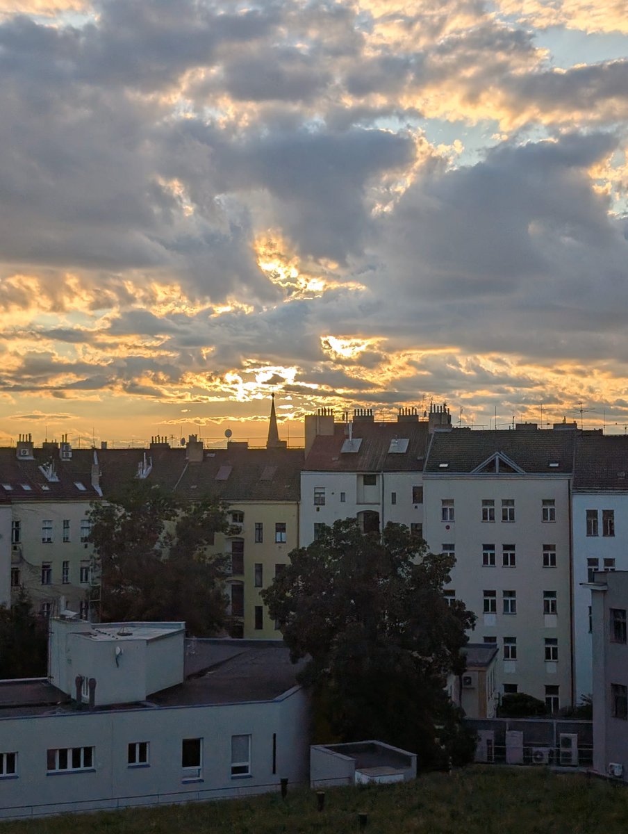 Justycoys tweet media