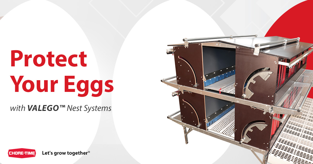🥚 Built to Protect Your Eggs 🥚

From nest to collection table, the VALEGO™️ Pagoda™️ Nest System ensures gentle, reliable egg handling every step of the way. It's engineered for durability and performance.
choretime.com/product/valego…
#EggProduction #PoultryEquipment