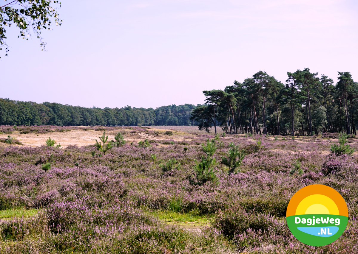 Beleef altijd een leuke dag met deze uitjes!🙌 - mailchi.mp/dagjeweg/markt…