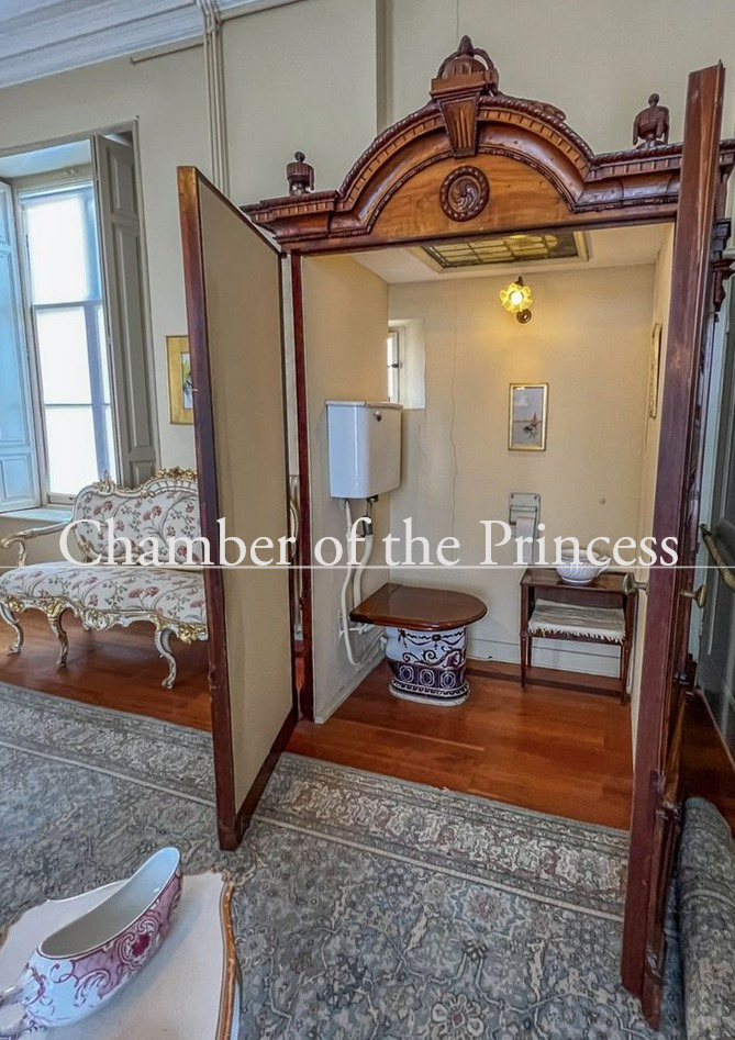 another toilet for you