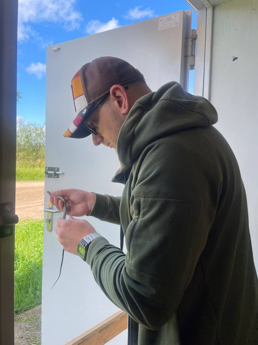 Злавіў вужыка ў прадуктовай краме Лепеля. І выпусціў