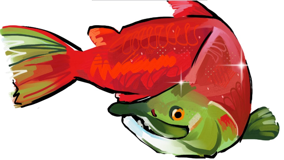 pseudonight's tweet image. Also here’s a salmon doodle 🐟