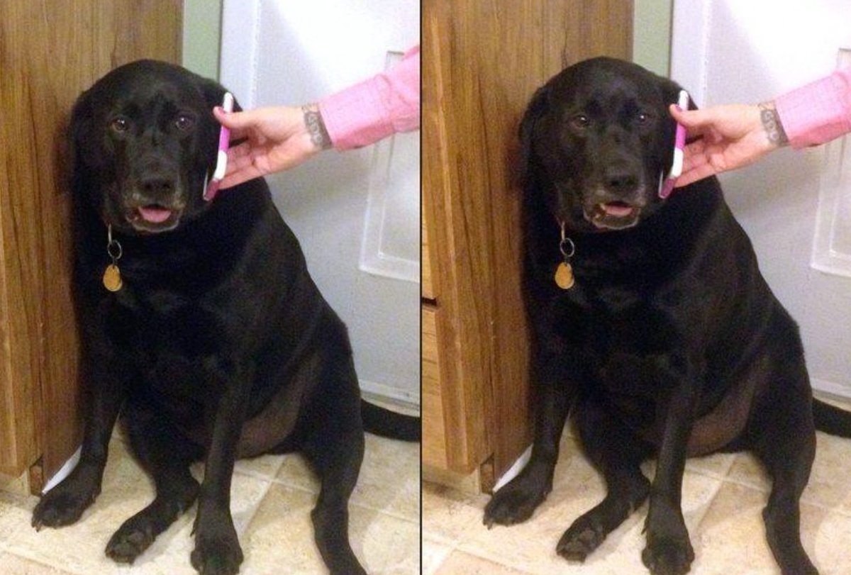 - SIII SIEMPRE VOY POR LA SOMBRA MARRE 
...
- SI YA SE KE HASE MUCHO CALO
...
- KE SOY NEGRO LO SE MARRE DE VERDA
...
- SE KE NO ES RASISTA MADRE KE COJO CALO
...
- SI POR ER PELO OSCURO LO SE MARRE
...
- SI TOY BEBIENDO AGUA
...
- DER CUENCO SI
...
- DER CUENCO ASUL SI ESE