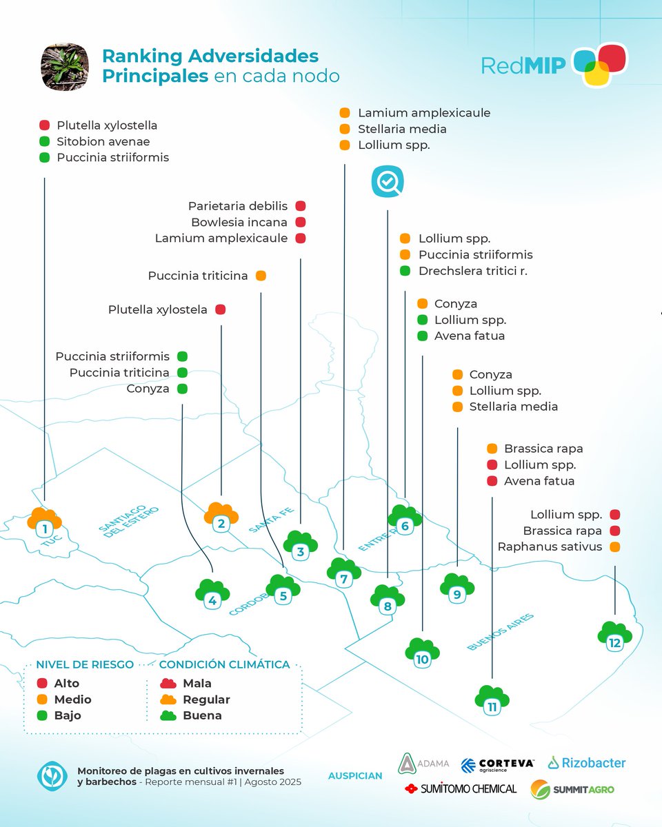Monitoreo Nacional de Plagas 🌾🌿🐛

Con formato renovado😍 , el #InformeRedMIP te muestra el ranking de adversidades en cultivos invernales y barbechos por zona y niveles de riesgo.

 + infovisualizaciones 👉  bit.ly/47oDOZJ

#NodosAAPPCE #ElMonitoeoEnTodosLados