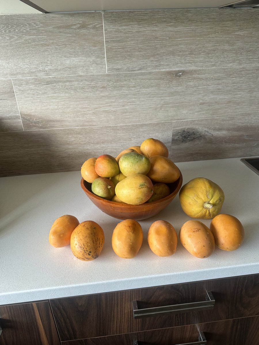 Home sweet home! Life in the tropics.