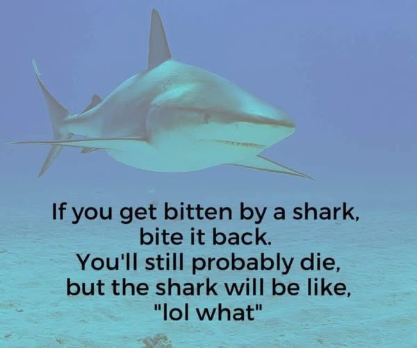 Follow us for more life hacks.
TheLoftusParty.com