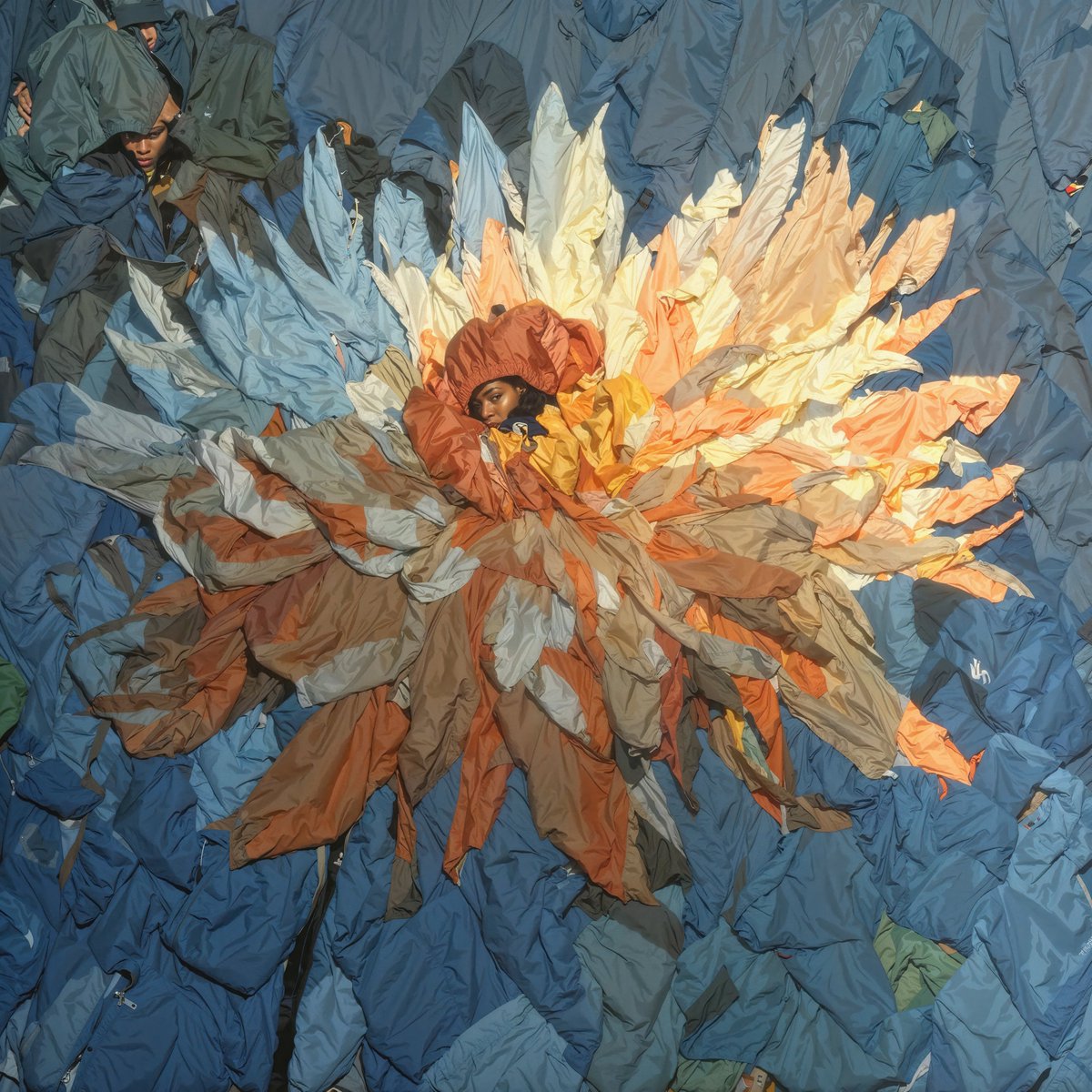 0009ine's tweet image. Flowers?