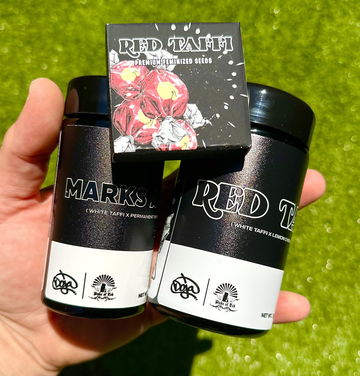 The new White Taffi crosses drop from <a href="/dojaexclusive_/">Doja Exclusive</a> is here! Special orders include a seed pack as well 💨🔥

MARKS A LOT (Permanent Marker x White Taffi)

RED TAFFI (White Taffi x LCG)