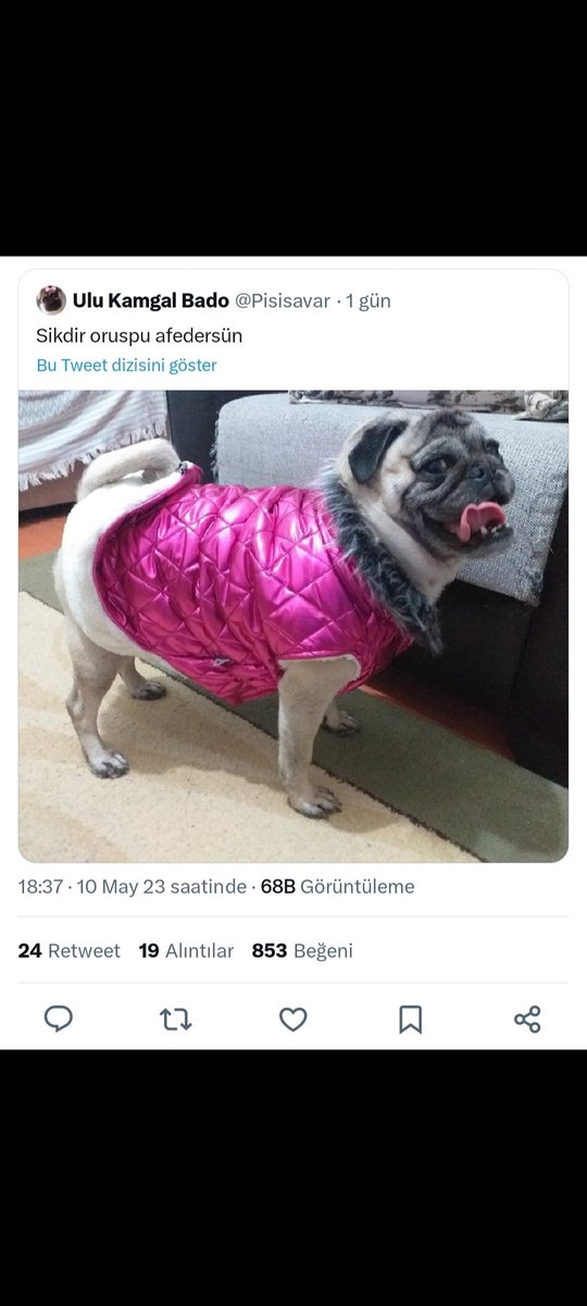 Tuhba🧘🏻‍♀️ (@tuhba666) on Twitter photo 