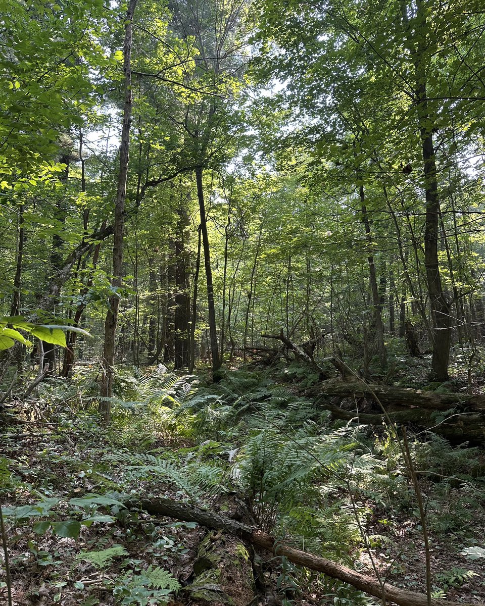 Turkey Point PP tweet media