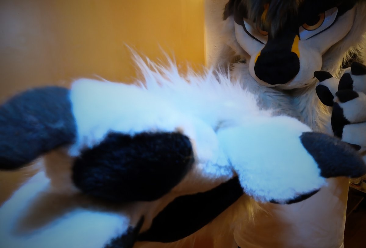 you're coming with me 😈
#FursuitFriday