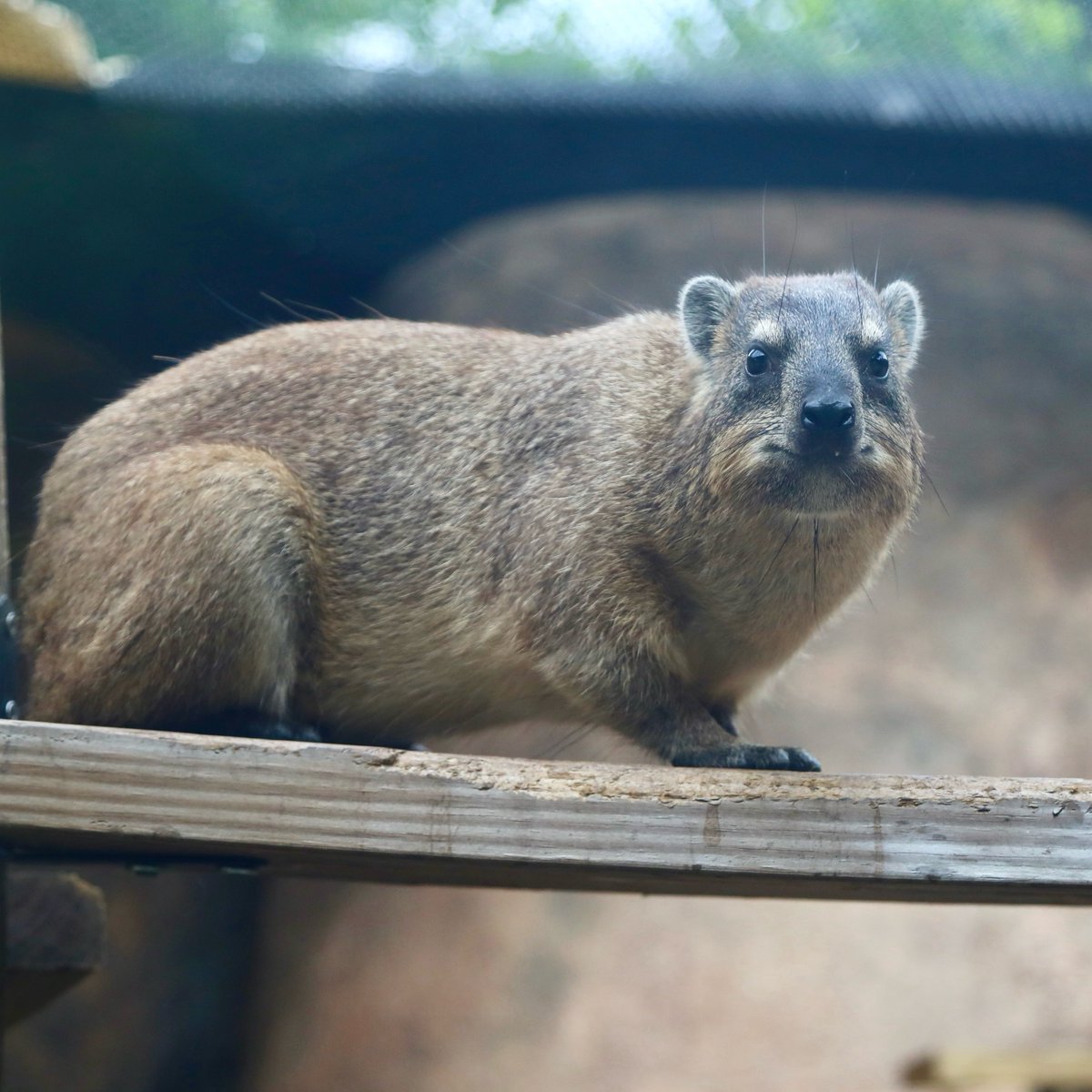 This is Casserole. Today is her birthday.

Just thought you should know that