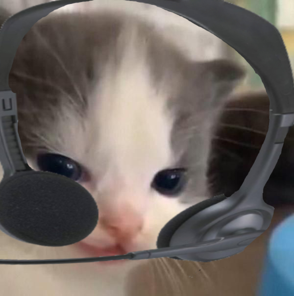 "chat were going to a bill"