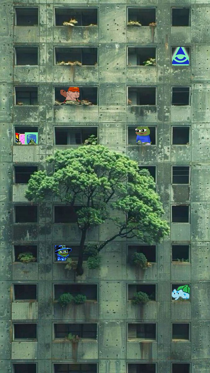 gm Familia
Are you ready to bloom?