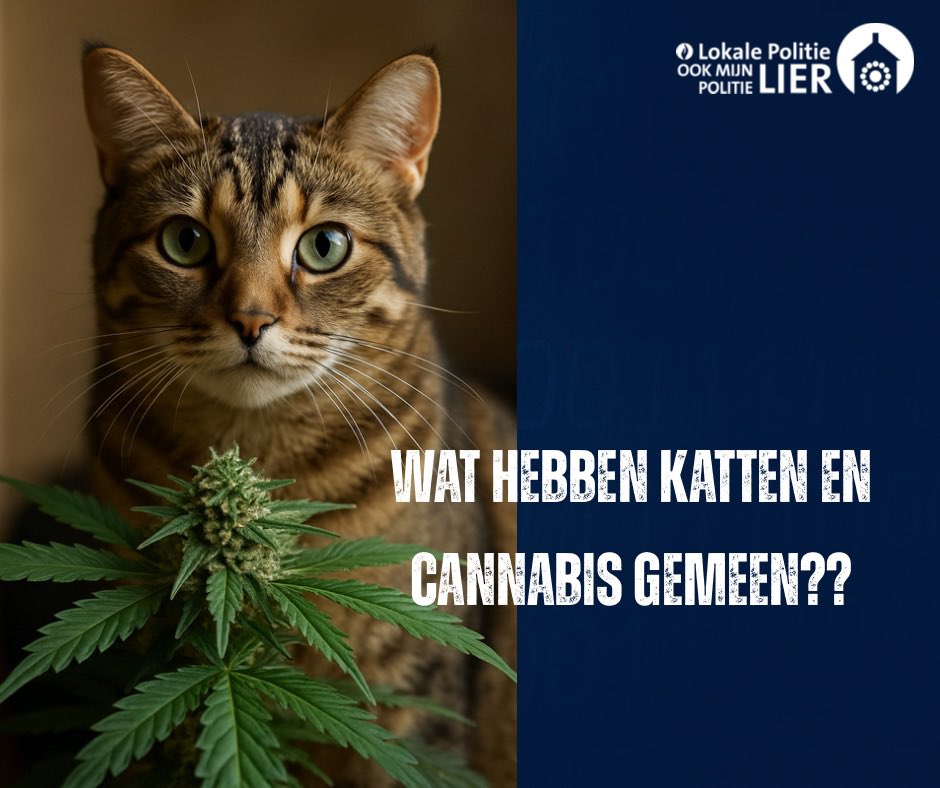 Benieuwd naar het antwoord? 👉🏻 facebook.com/politielier