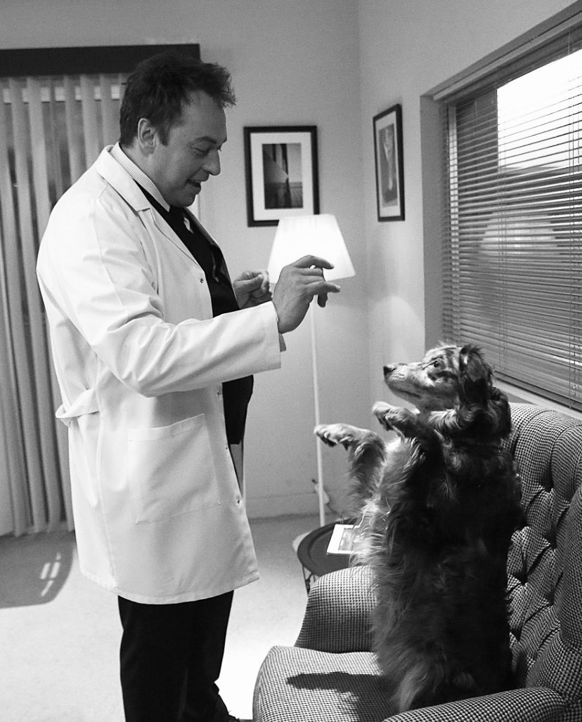 no context okan yalabık (@nocontextokan) on Twitter photo 