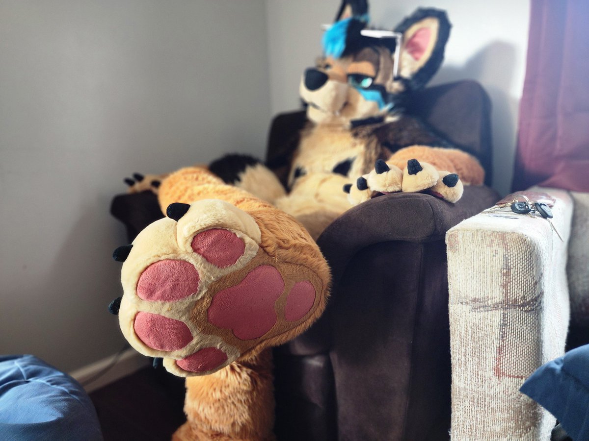 Dexter/Echo π ANE, TFF, FWA (@dexter_dior) on Twitter photo Happy #FursuitFriday! Have some paws for your feed! πΎ
πͺ‘: <a href="/WildDogWorks/">WildDogWorks.com on π¦</a>
πΈ: <a href="/Sylox95/">Sylox π π FD/MP</a> Happy #FursuitFriday! Have some paws for your feed! πΎ
πͺ‘: <a href="/WildDogWorks/">WildDogWorks.com on π¦</a>
πΈ: <a href="/Sylox95/">Sylox π π FD/MP</a>