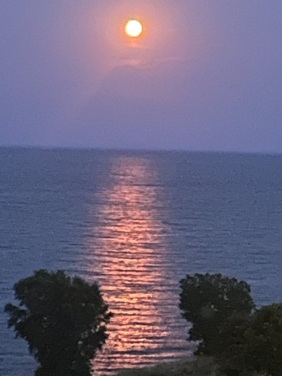 Bart Lundy tweet media