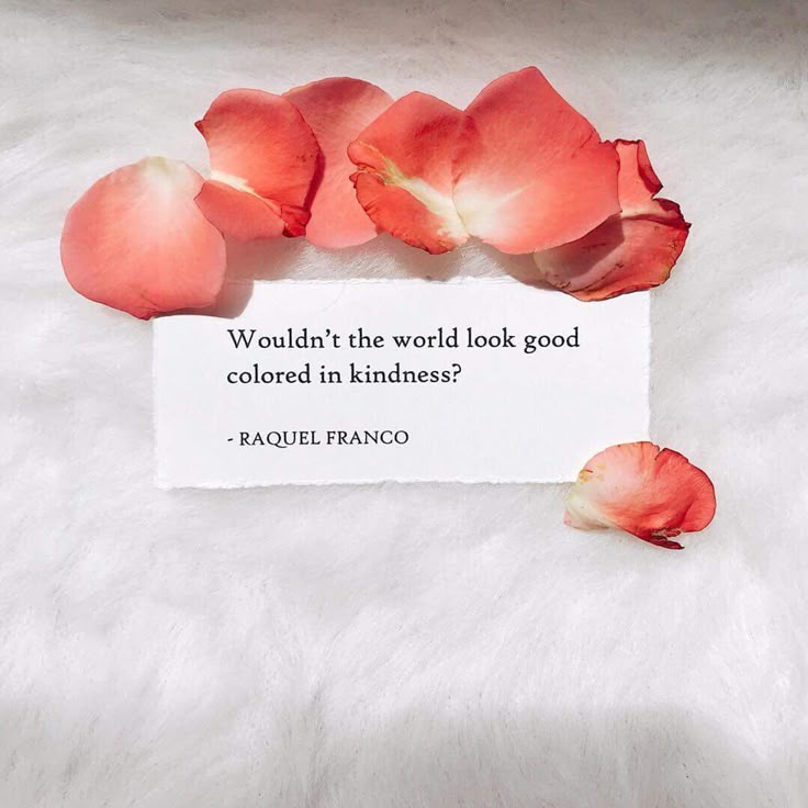 POSITIVITY (@positivitysaid) on Twitter photo 