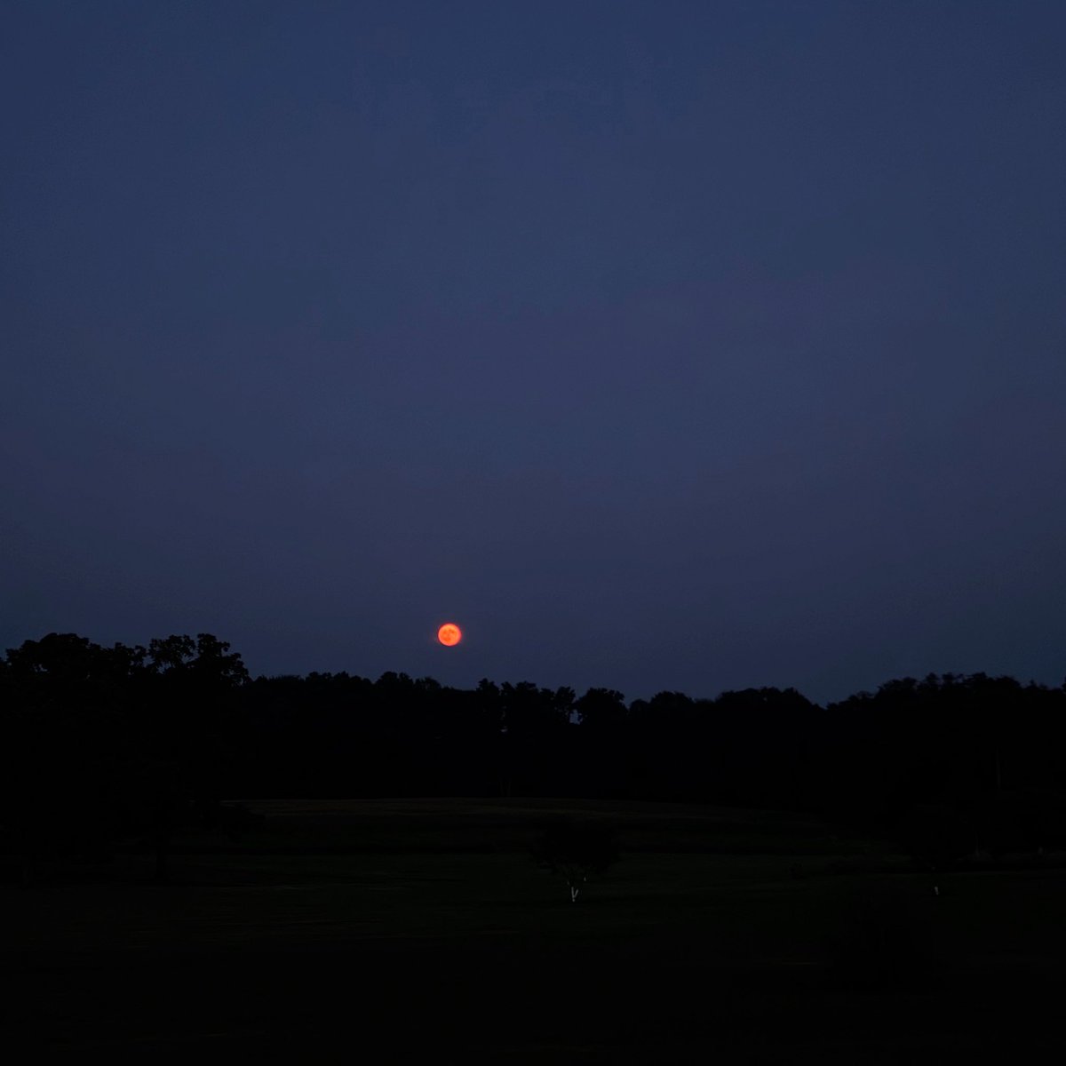 Christy Shields tweet media