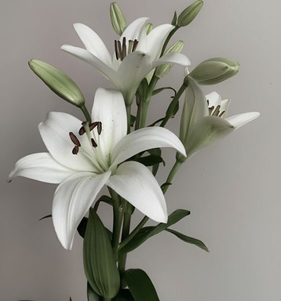 eilo (@noplacebuthere) on Twitter photo 