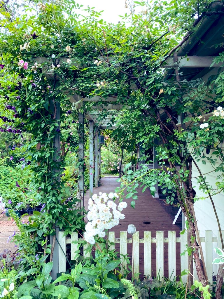 好きな風景。  
自然がある中、静かにあるテラス道🌿

正直、このテラスを「道」と言っていいかわからない。だけど、このテラスを通らないと、美しい世界に行けない。

だから、ずっとテラス道と呼んでいる。