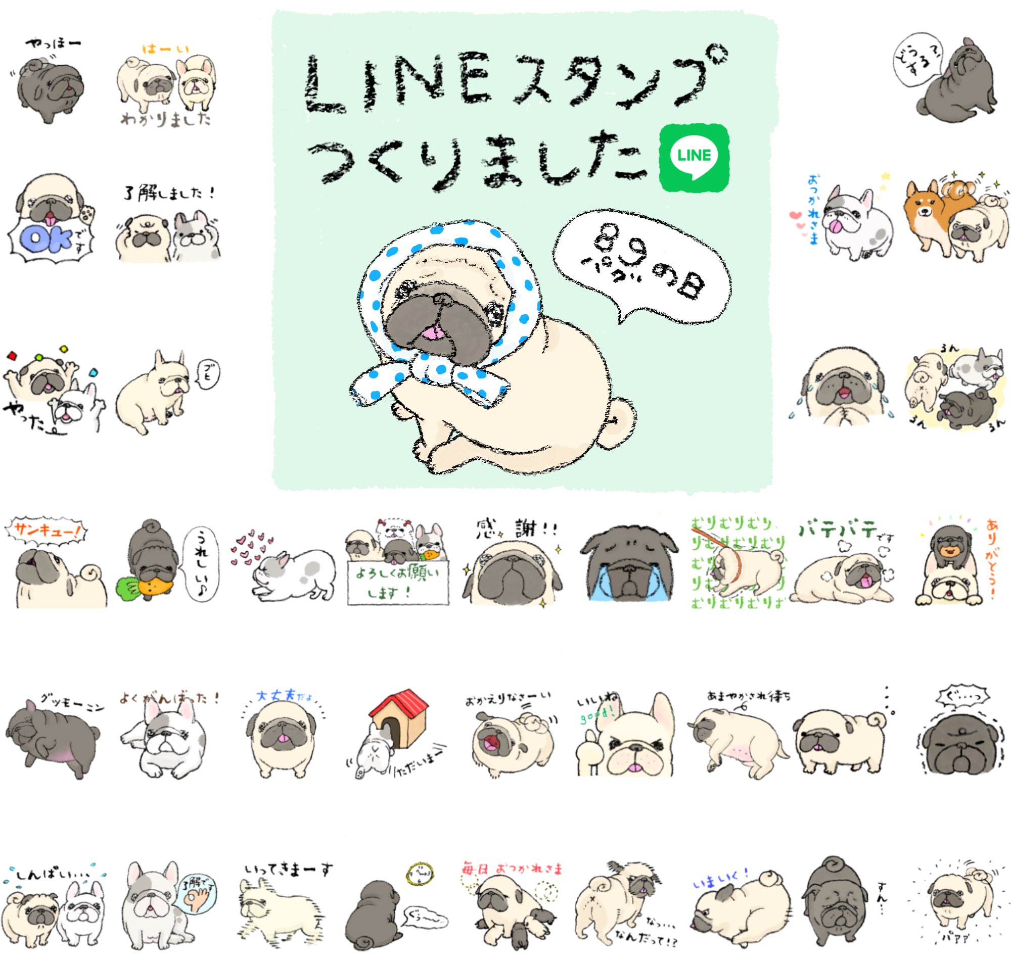 しばちゃん専用⭐︎ 柴犬ハナ (@87shiba87) / X