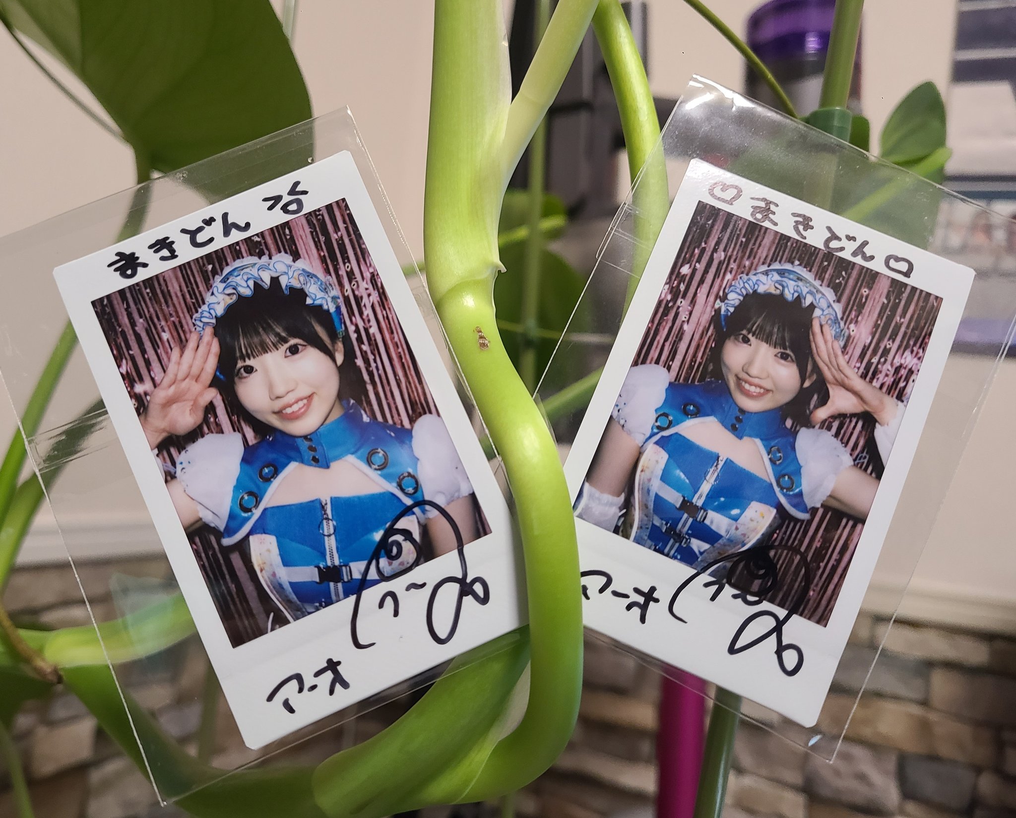 7月末処分予定 松島勇之介 チェキ かずあき on X: 