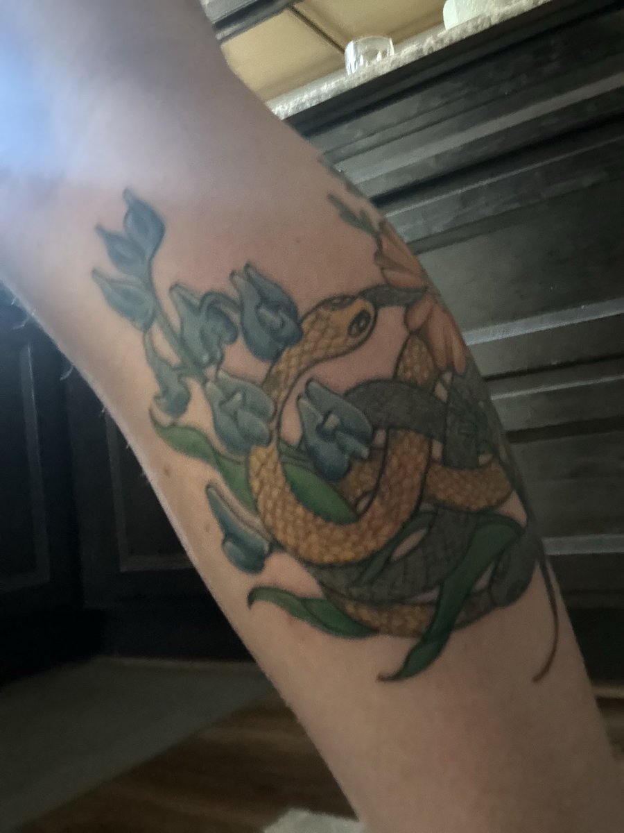 Just three days of healing with the “new skin” stuff and it looks awesome!  Eternity Unity Poppies and Bluebonnets.