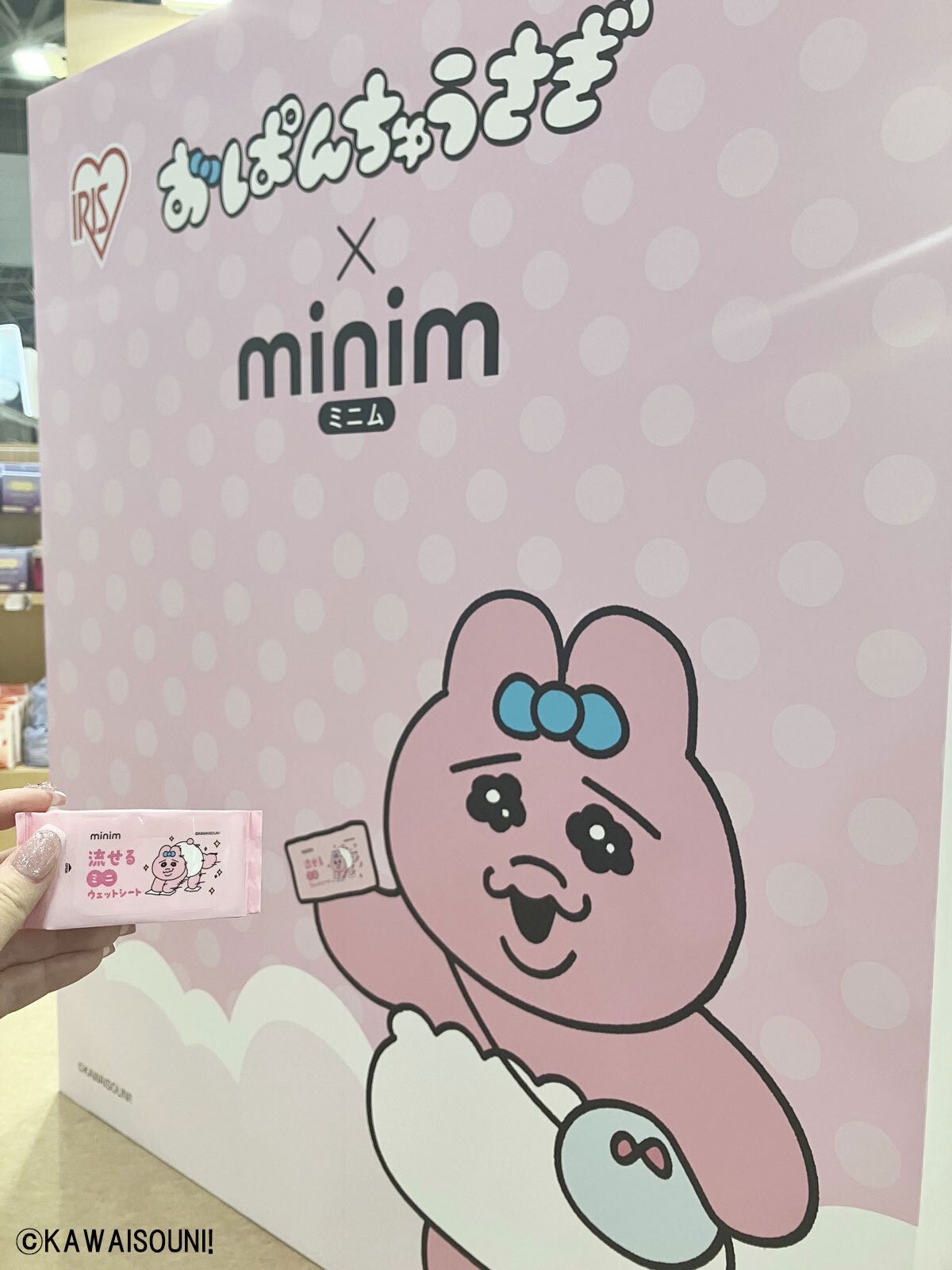 ⭐︎包装不要及び直接受け取りの方限定5,000円割引可能⭐︎ アイリスオーヤマゴミ箱 ⭐︎包装不要及び直接受け取りの方限定5,000円割引可能