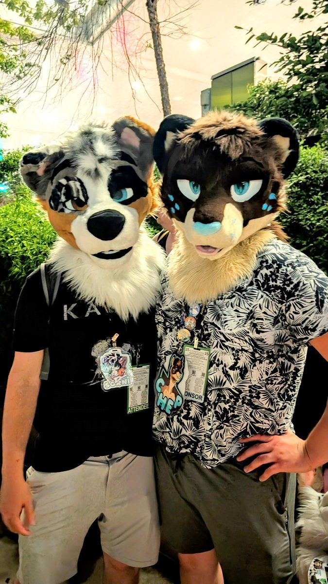 AC photo dump for this fursuit Friyay #AC2025 #fursuitfriday 

Was nice to meet you <a href="/sornidoggo/">Sorni</a> !!!