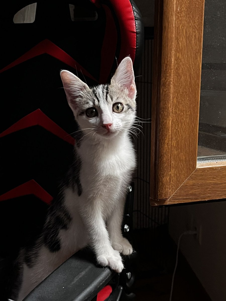 Elle a bien grandi en 2 mois 🥹