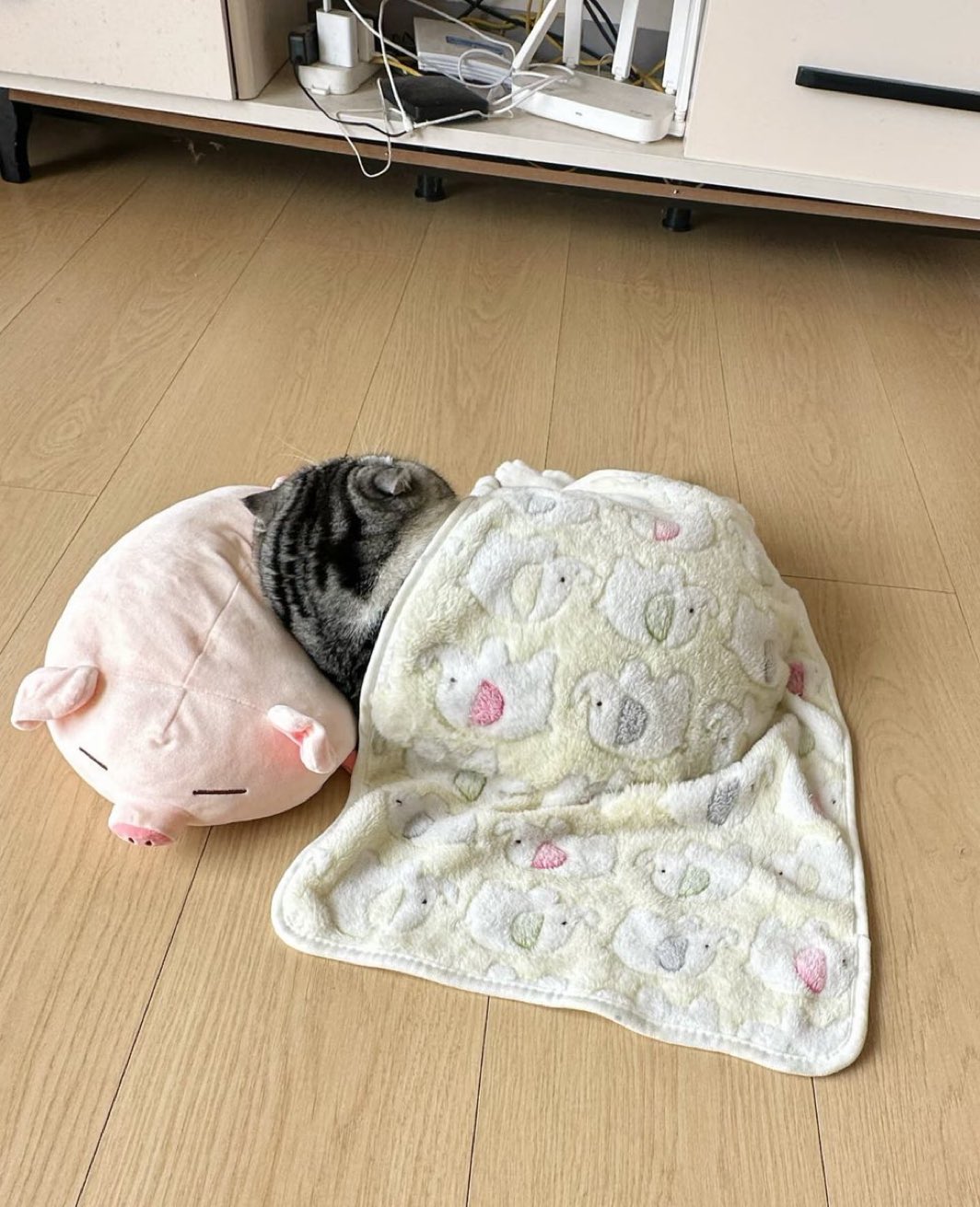 ゆんく AZONE INTERNATIONAL::えっくす☆きゅーと::商品詳細