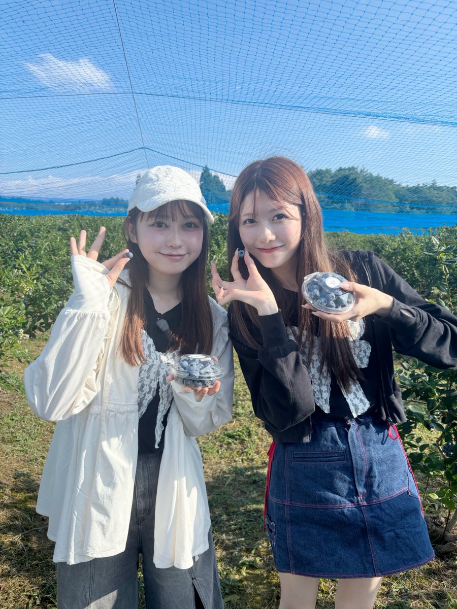 AKB48グループ 姉妹グループHKT48 公式生写真 ⑵ AKB48グループ 姉妹グループHKT48 公式生写真 ⑵