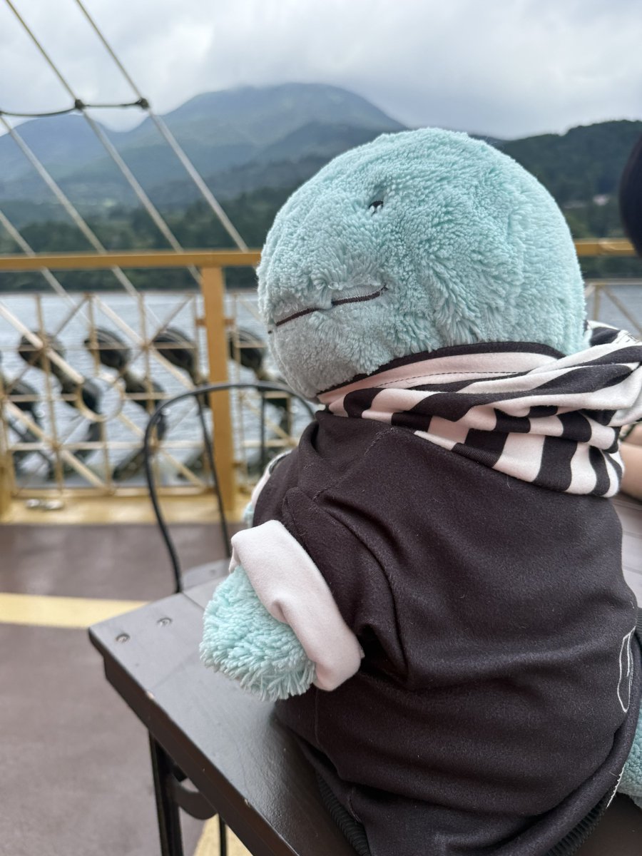 意外とはやいぬぉ！！